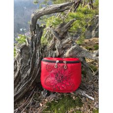 Ledvinka červená dahlia